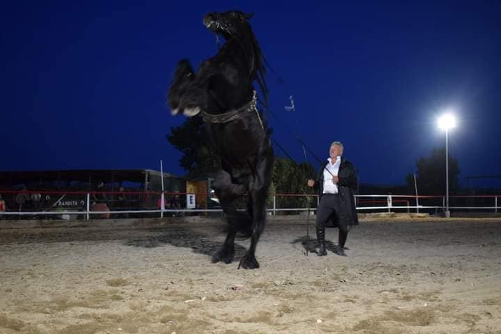 Cavalli Sotto le Stelle la Festa Maremmana