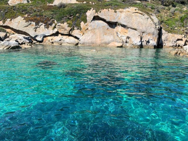 Maremma Escursioni Catamarano Freccia del Giglio e le calette dell'Argentario